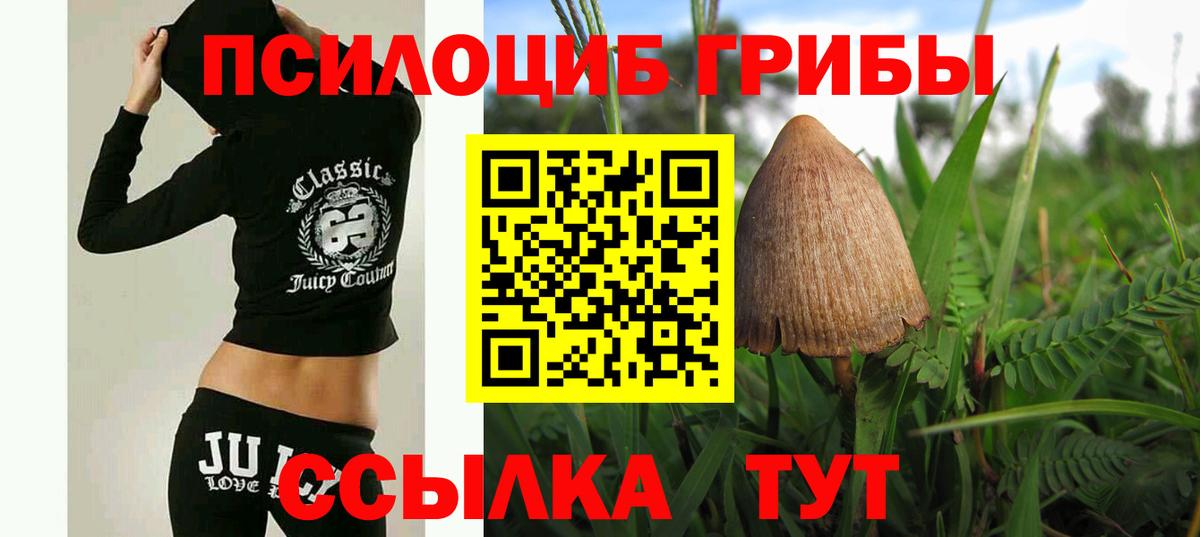 Галлюциногенные грибы Magic Shrooms Лысьва